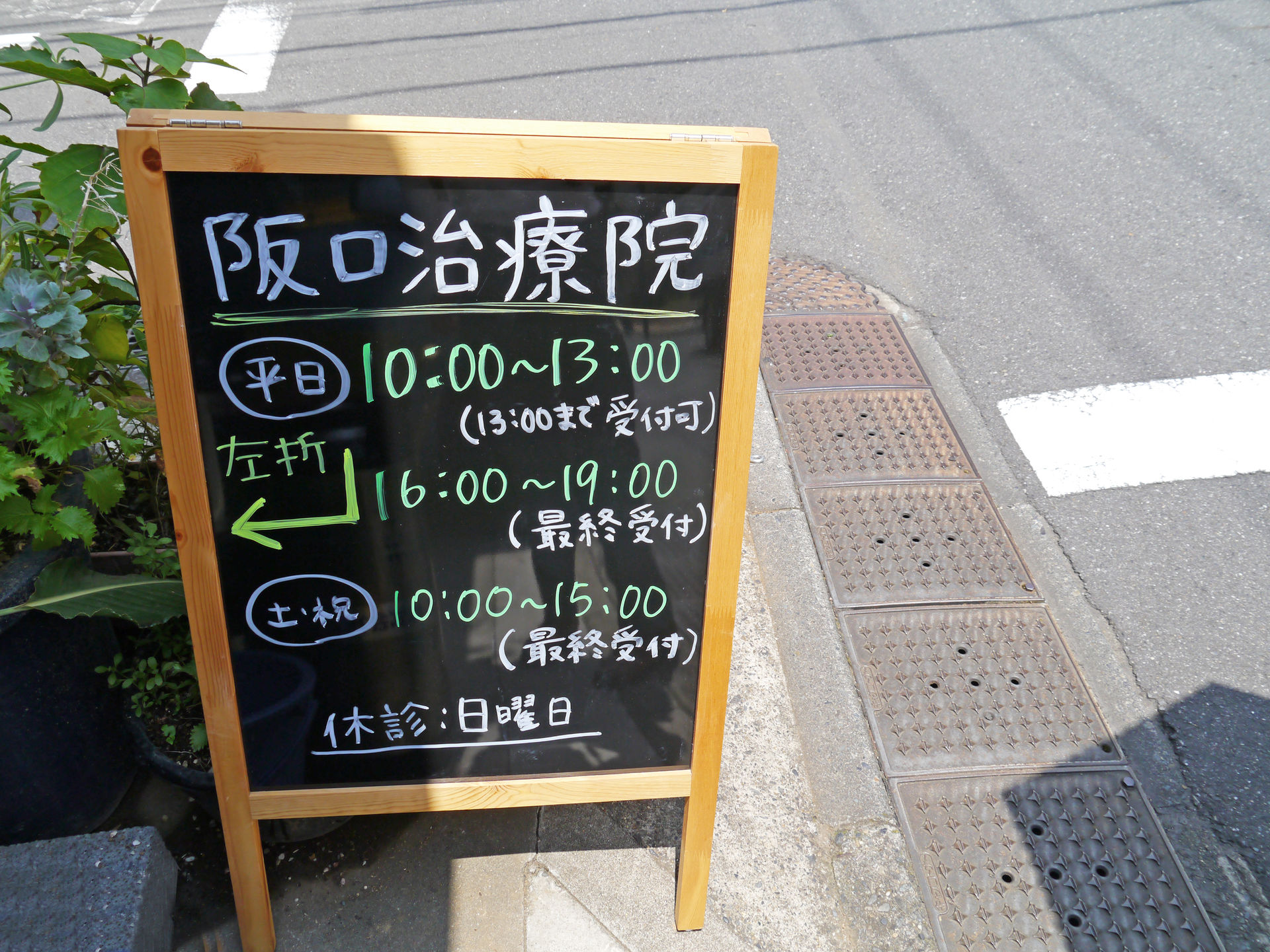 竭ｧP1020036